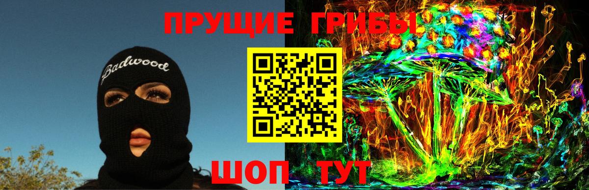 продажа наркотиков  Вход с VPN  Городец  Псилоцибиновые грибы Cubensis 